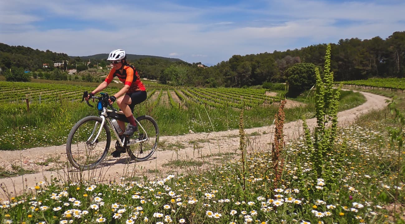 Gravel riders cycling through the vineyards of the Penedès wine région in Catalonia during Gravel Penedès